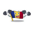 Fitness flag romania isolated with the mascot