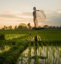 Fitness and friendship - young happy and attractive group of friends doing acro yoga workout in balance on rice field with