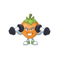 Fitness fruit persimmon character for object cartoon