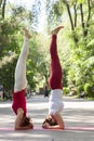 Fitness group doing yoga in park Pose tree. Workout Royalty Free Stock Photo