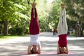 Fitness group doing yoga in park Pose tree. Workout Royalty Free Stock Photo