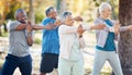 Fitness, group and senior people stretching before a exercise in an outdoor park or nature. Sports, wellness and elderly Royalty Free Stock Photo