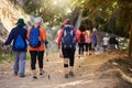 Fitness, health and hiking with people in forest for workout and walking in nature for wellness, park and freedom Royalty Free Stock Photo