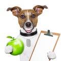 Fitness and healthy dog Royalty Free Stock Photo