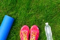 Fitness and healthy lifestyle concept, dumbbells, bottle of water and sport mat on grass