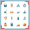 Fitness icons | In a frame series Royalty Free Stock Photo