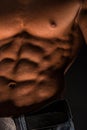 Fitness male torso Royalty Free Stock Photo