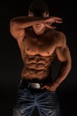 Fitness male torso