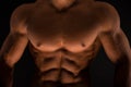 Fitness male torso Royalty Free Stock Photo