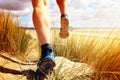 Fitness man running on the beach Royalty Free Stock Photo