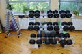 At the fitness room: dumbbells placed on a racks Royalty Free Stock Photo