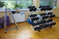 At the fitness room: dumbbells placed on a racks Royalty Free Stock Photo