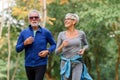 Cheerful active senior couple jogging in the park