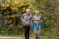 Cheerful active senior couple jogging in the park Royalty Free Stock Photo