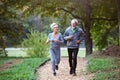 Cheerful active senior couple jogging in the park