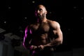 Fitness Shaped Muscle Man Posing In Dark Gym Royalty Free Stock Photo