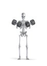 Fitness skeleton with dumbbells