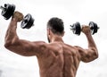 Fitness and sport equipment. athletic body. Dumbbell gym. man sportsman weightlifting. steroids. Muscular back man