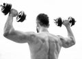 Fitness and sport equipment. athletic body. Dumbbell gym. man sportsman weightlifting. steroids. Muscular back man