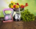 Fitness vitamin concept, fresh fruit and vegetable