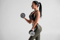 Fitness woman doing exercise for biceps on gray background. Muscular woman workout with dumbbells Royalty Free Stock Photo