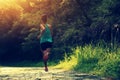 Fitness woman runner athlete running on forest trail.