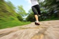 Fitness woman runner running on trail Royalty Free Stock Photo