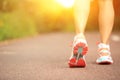 Fitness woman runner running on trail Royalty Free Stock Photo