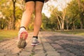 Fitness woman training and jogging in summer park, close up on running shoes. Healthy lifestyle and sport. Royalty Free Stock Photo