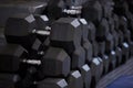 Fitness, workout and dumbbells in empty gym for exercise, bodybuilding development and sports training club. Background Royalty Free Stock Photo