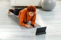 Fitness Workout training. Young healthy fit african girl doing plank exercise on yoga mat on floor at home. Athletic Royalty Free Stock Photo