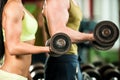 Fitness youple workout - fit mann and woman train in gym Royalty Free Stock Photo