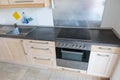 Fitted kitchen in an apartment with electrical appliances and worktop and drawers and wall cupboard Royalty Free Stock Photo