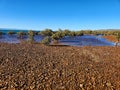 Fitzgerald Bay stony mangrove scene