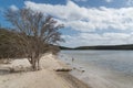 Fitzgerald River National Park, Western Australia Royalty Free Stock Photo