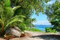 Fitzroy Island, Queensland, Australia, Great Barrier Region