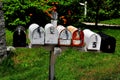 Fitzwilliam, NH: USPS Rural Mailboxes