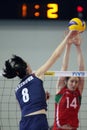 FIVB WOMEN'S VOLLEYBALL CHAMPIONSHIP - BELARUS Royalty Free Stock Photo