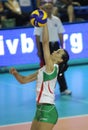 FIVB WOMEN'S VOLLEYBALL CHAMPIONSHIP - BULGARIA Royalty Free Stock Photo