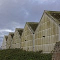 Five old shipping warehouses at the Port of Montrose with their heavily stained Galvanised metal walls and Roofs