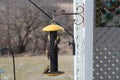 Five American Goldfinches eating thistle seed from a bird feeder in winter Royalty Free Stock Photo