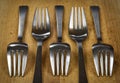 The five anticorrosive forks Royalty Free Stock Photo