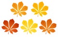 Five autumn chestnut leaves. Vector illustration.