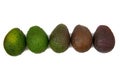 Five avocados in stages of ripening