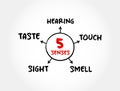 Five basic human senses: touch, sight, hearing, smell and taste, mind map concept for presentations and reports