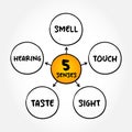 Five basic human senses: touch, sight, hearing, smell and taste, mind map concept for presentations and reports