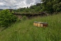 Five beehives on an alpine meadow in Carinthia, Austria