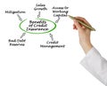 Benefits of Credit Insurance Royalty Free Stock Photo