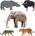 Five big wild beasts in India.