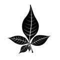 The five Bilva leaf (Belpatra) vector icon in black color